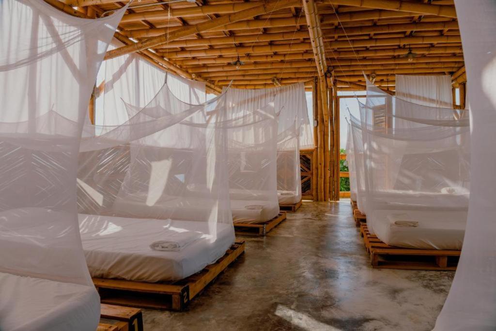 Niuwi Hostel Buritaca Εξωτερικό φωτογραφία